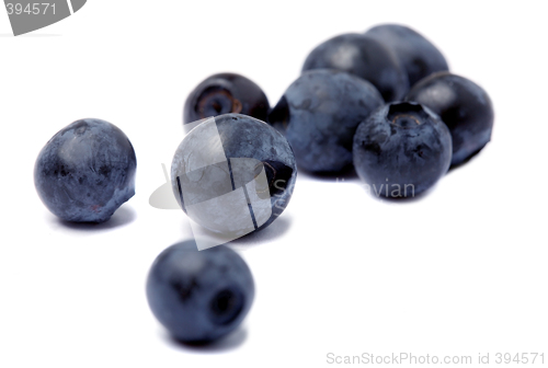 Image of  Blueberry on white