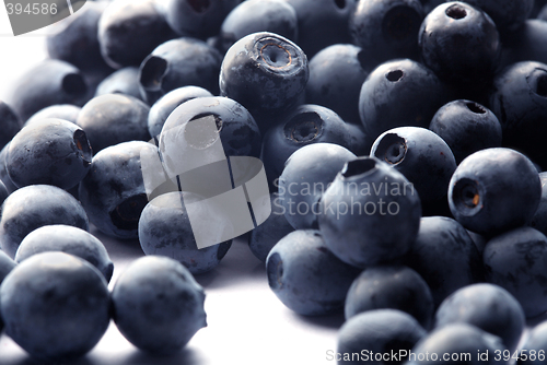 Image of  Blueberry on white