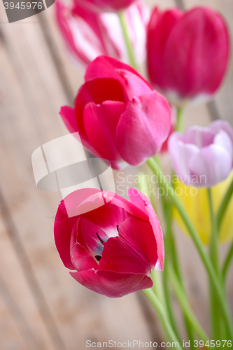 Image of red fresh tulips flowers on wooden background
