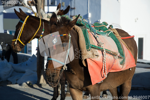 Image of Oia, Santorini, Greece