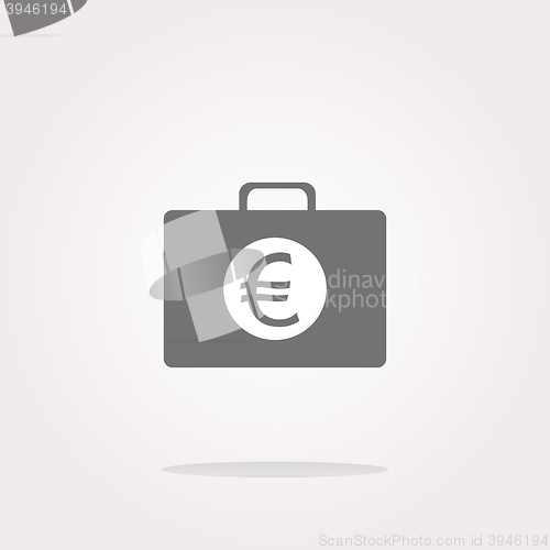 Image of vector euro case button, financial icon isolated on white background