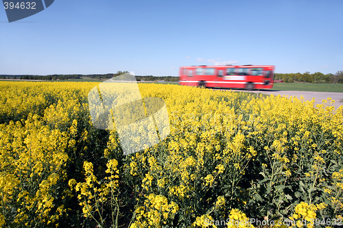 Image of bus and Oilseed