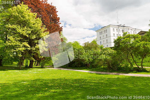 Image of summer city park with trees and green lawn