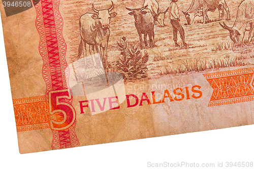 Image of 5 Gambian dalasi bank note