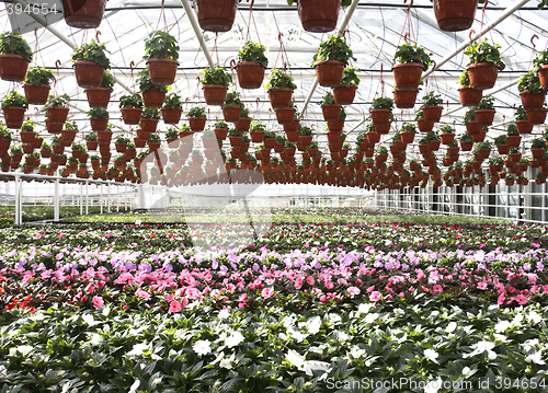 Image of Garden Store Greenhouse