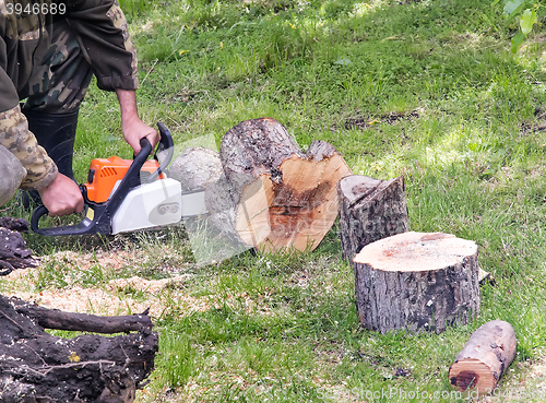 Image of People at work: man sawing trees.