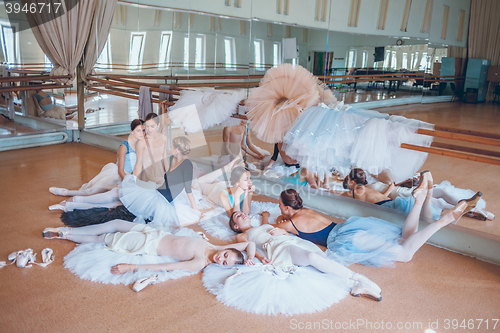 Image of The seven ballerinas against ballet bar