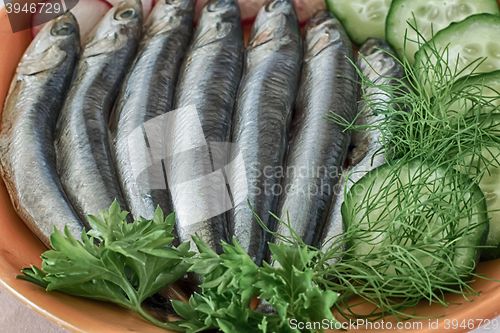 Image of Small salted fish anchovies on the plate with cucumber and herbs