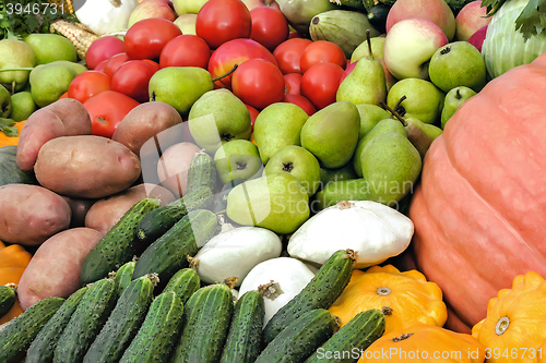 Image of Vegetable harvest is sold at the fair.