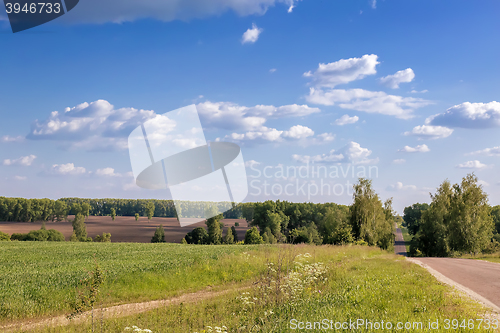 Image of Summer landscape on a clear Sunny day.