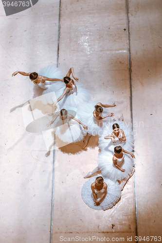 Image of The seven ballerinas on floor