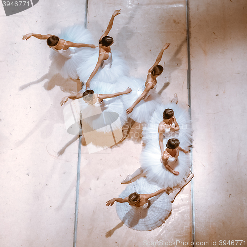 Image of The seven ballerinas on floor