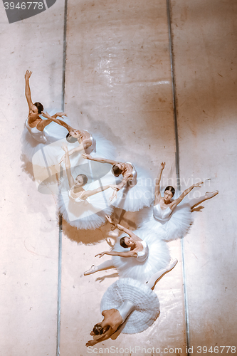 Image of The seven ballerinas on floor