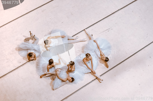 Image of The seven ballerinas on floor