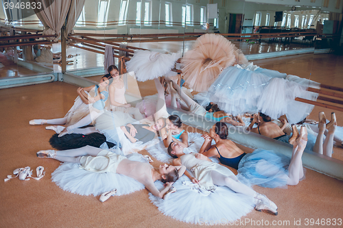 Image of The seven ballerinas against ballet bar
