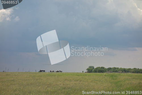 Image of rainy sky backgound