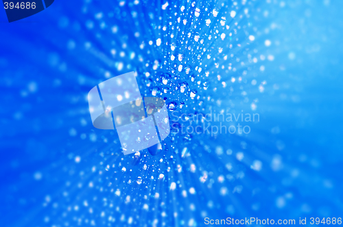 Image of Water Drops