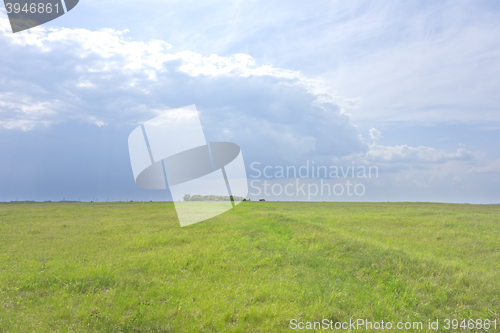 Image of green field landscape