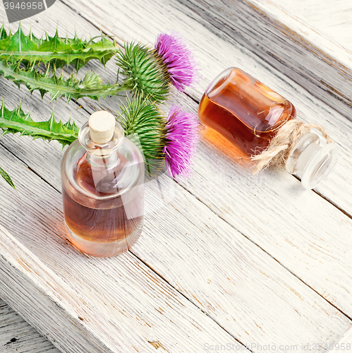 Image of Flower thistles and extract from it