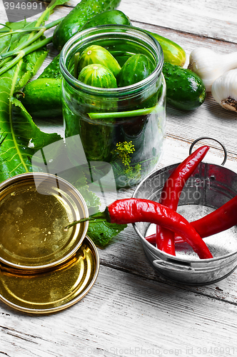 Image of Preserving fresh cucumbers