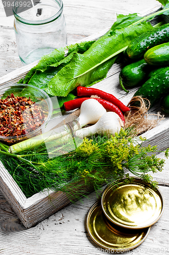 Image of Preserving fresh cucumbers