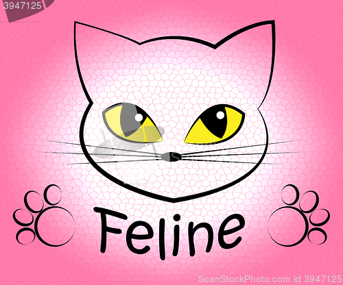 Image of Feline Cat Means Pets Pet And Felines