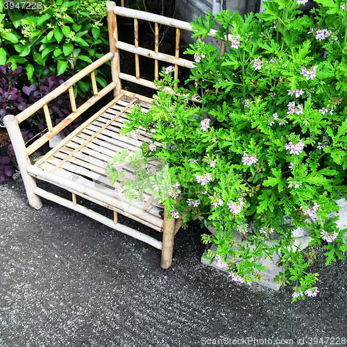 Image of Bamboo chair and blooming plants