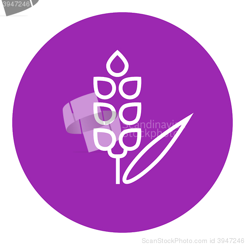 Image of Wheat line icon.