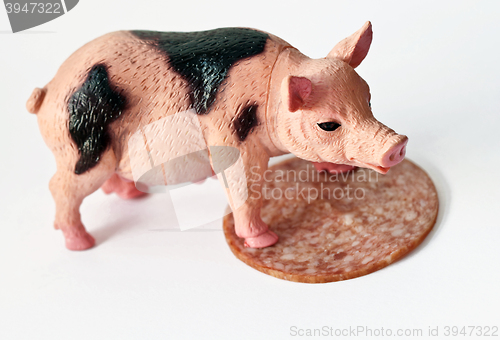 Image of Miniature Pig with a slice of saussage