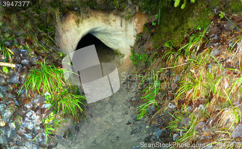 Image of lost the entrance to the cave 