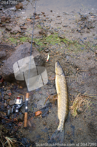 Image of spinning lure pike river luck