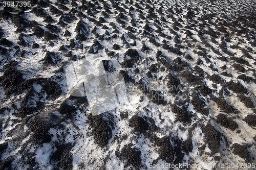 Image of Black snow 2. Direct allegory of human pollution of the Earth. Concept of combining opposite