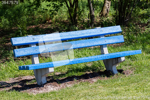 Image of Blue bench in a public park