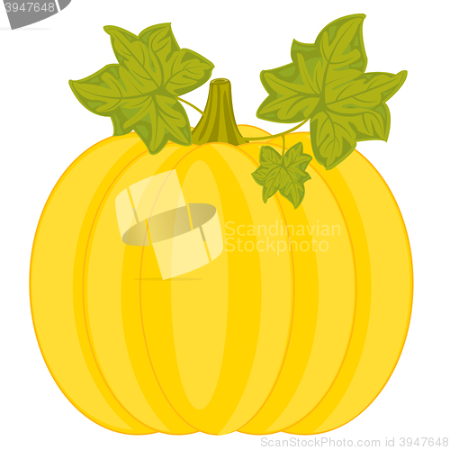 Image of Ripe pumpkin