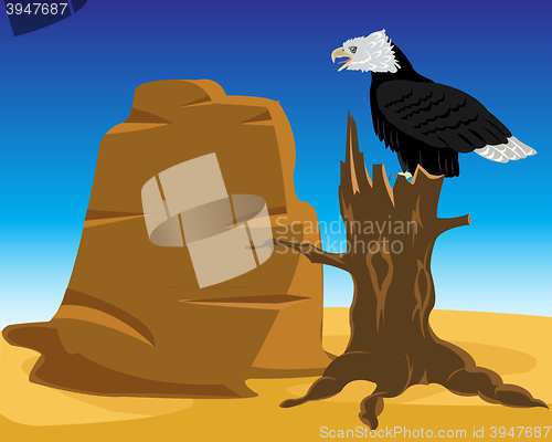 Image of Desert and eagle on tree
