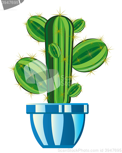 Image of Cactus in pot