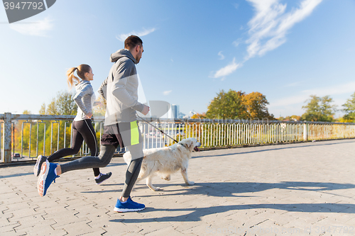 Image of happy couple with dog running outdoors