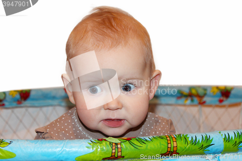 Image of little baby standing in the playpen in perplexity