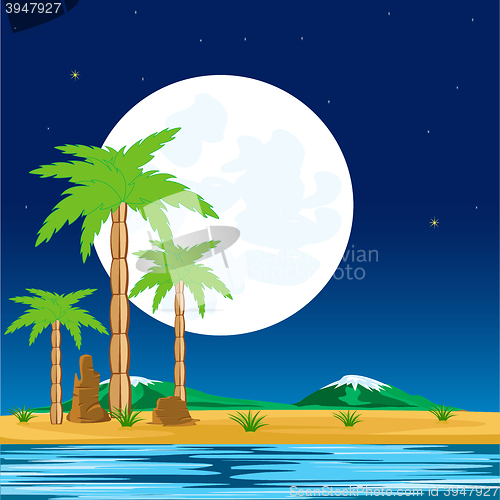 Image of Night in tropic