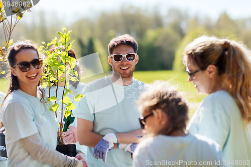 Image of group of volunteers planting trees in park