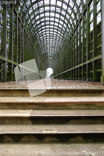 Image of A green tunnel