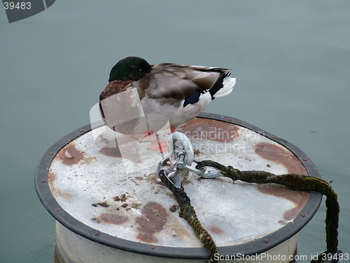 Image of Sleep in a round