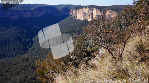 Image of Blue Mountains National Park in Australia