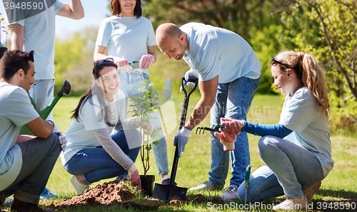 Image of group of volunteers planting tree in park