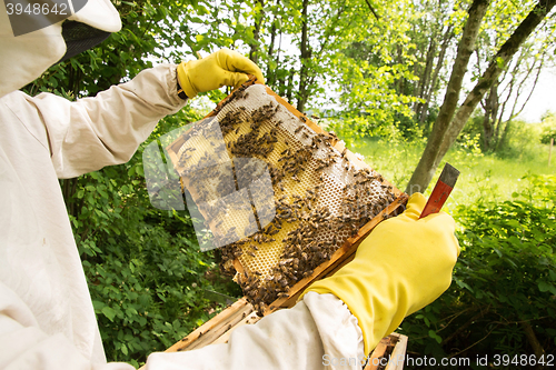 Image of Beekeeper