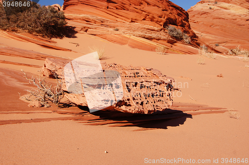 Image of The Wave, Vermilion Cliffs National Monument, Arizona, USA