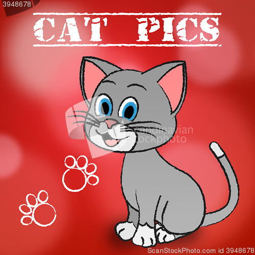 Image of Cat Pics Shows Pet Photo And Pictures