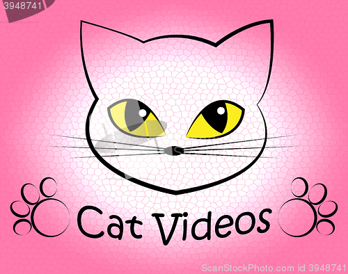 Image of Cat Videos Indicates Audio Visual And Feline