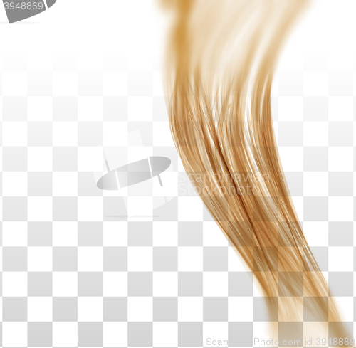 Image of Closeup of long human hair