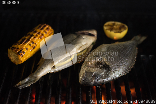 Image of Grilled dorado fish